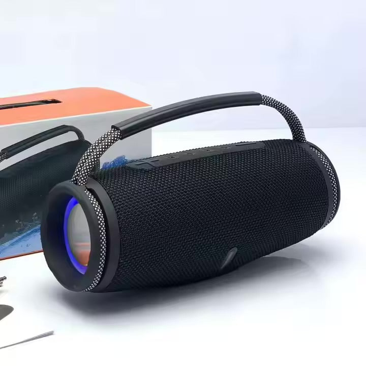 Haut-parleur Portable L11